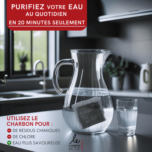 clear glass pitcher with charcoal water filter inside on kitchen counter with glass of water showing water filter entire house
