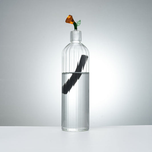 Carafe en Verre Design + 1 Bâton Charbon Végétal Français
