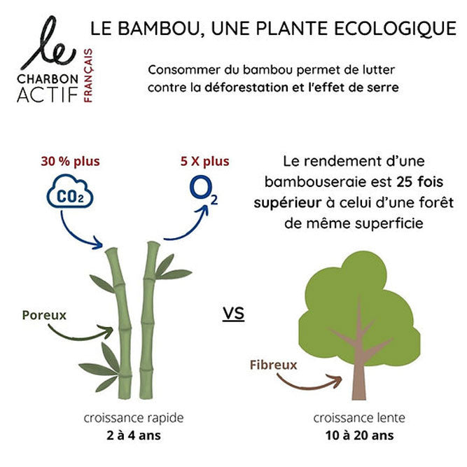 Eco-friendly bamboo plant illustration showing rapid porous growth compared to slow fibrous tree growth