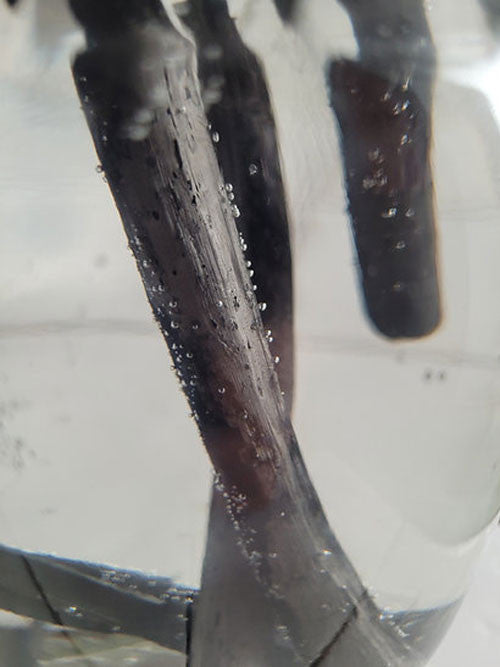 black bamboo and charcoal sticks submerged in clear water for air purification