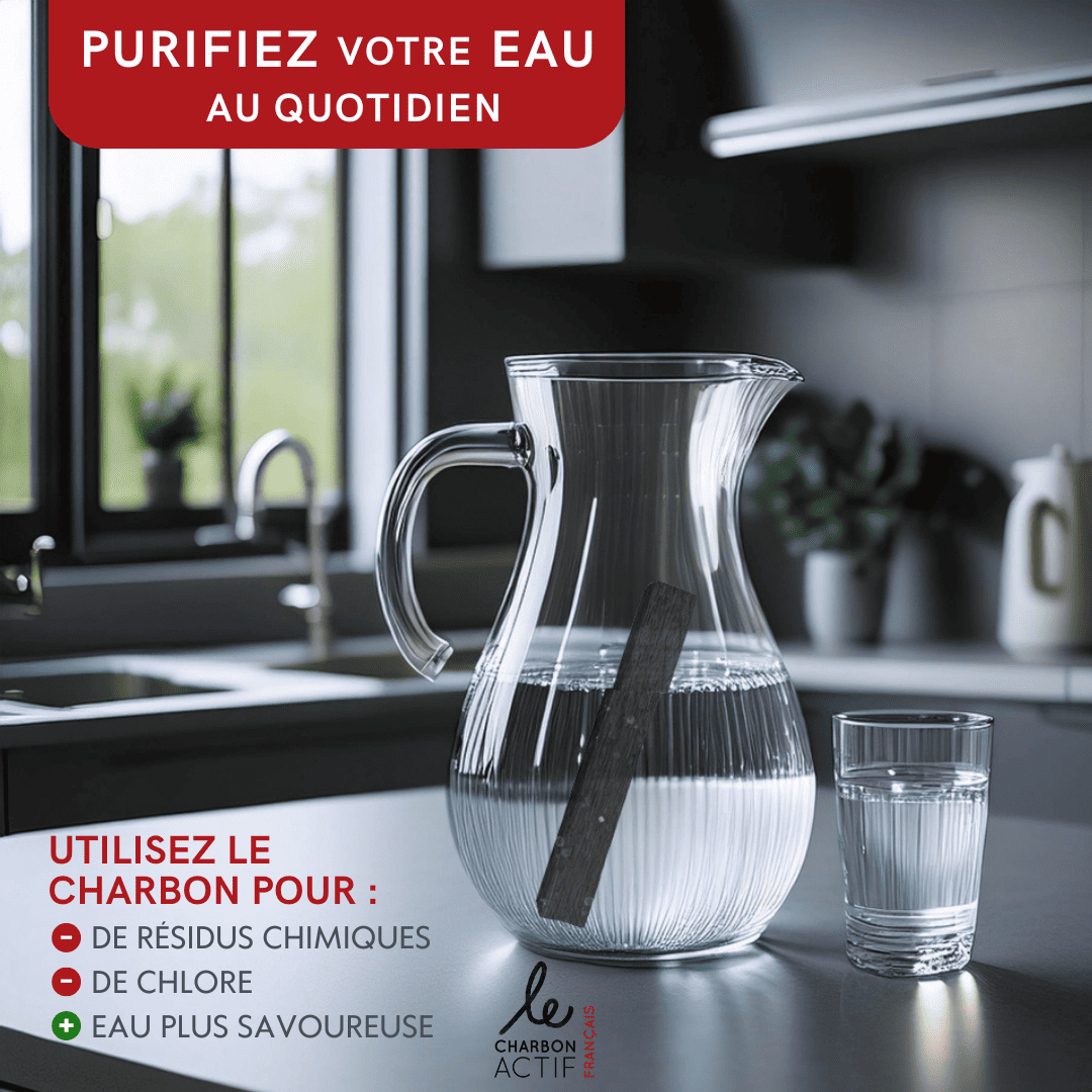 Bâton de charbon végétal français filtre à eau naturel