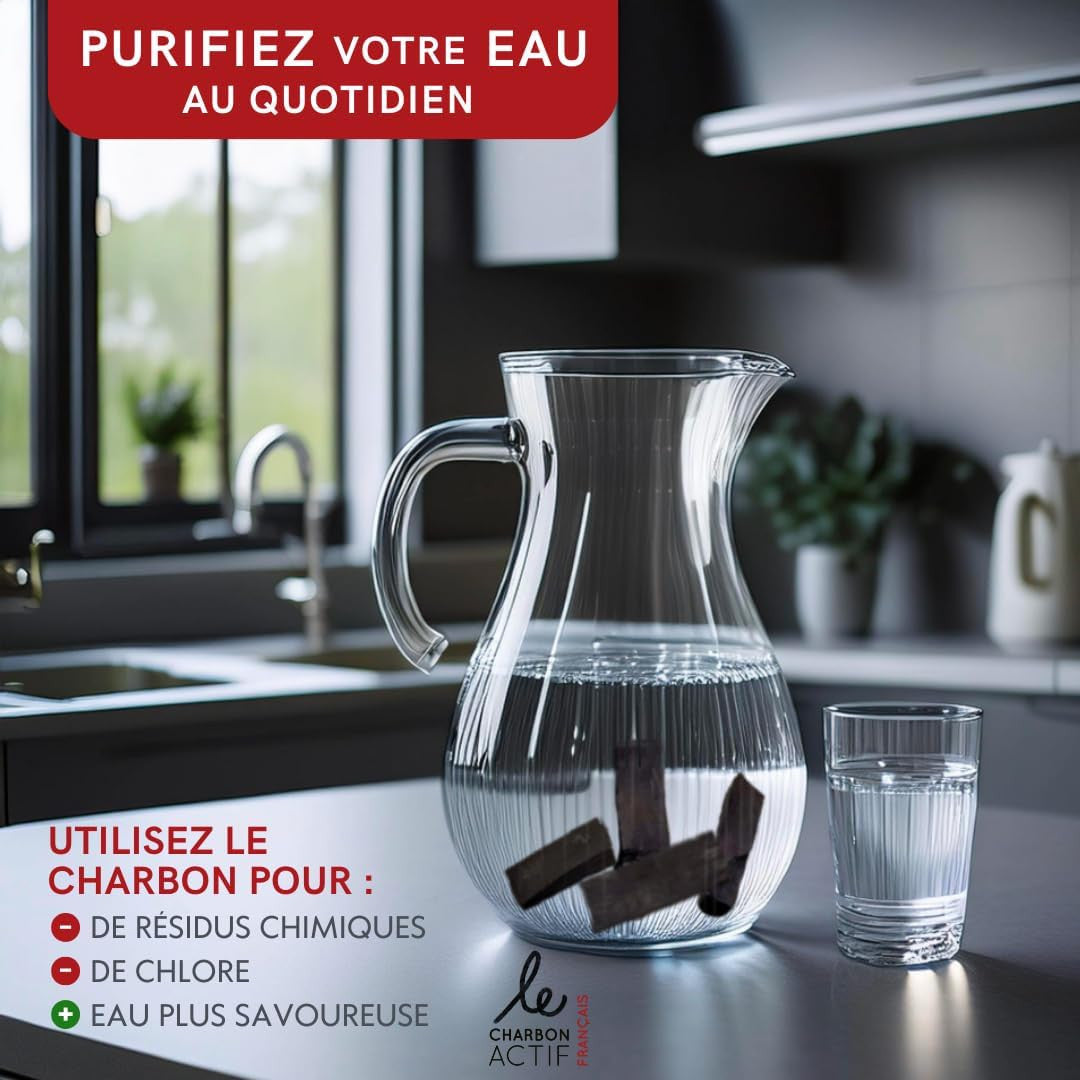 Charbon végétal français filtre à eau vrac 50g