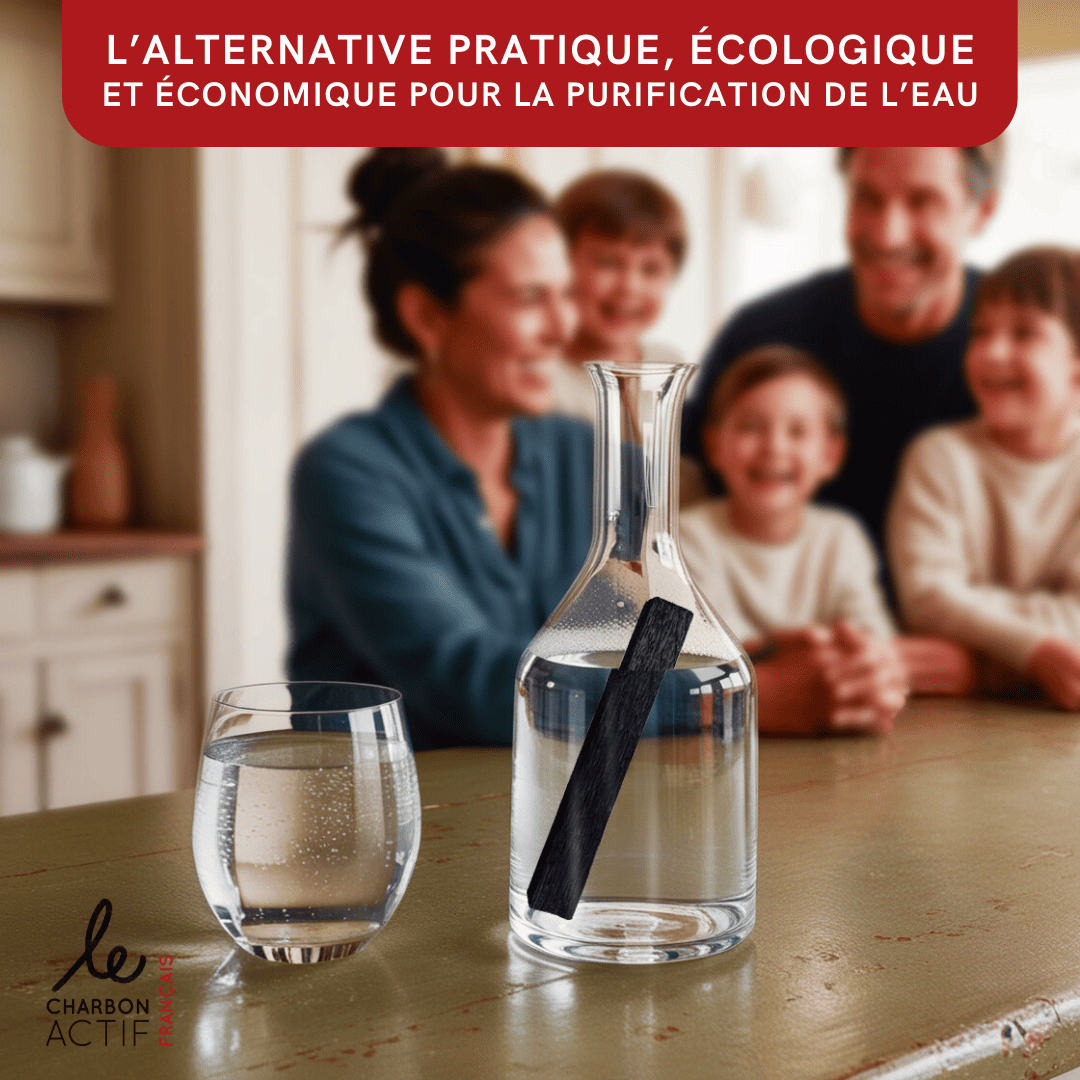 Bâton de charbon végétal français filtre à eau naturel